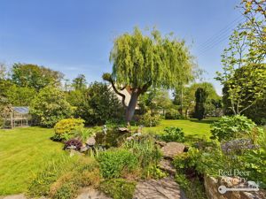 Garden- click for photo gallery